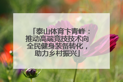泰山体育卞青峰：推动高端竞技技术向全民健身装备转化，助力乡村振兴