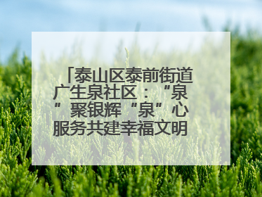 泰山区泰前街道广生泉社区：“泉”聚银辉“泉”心服务共建幸福文明和谐家园