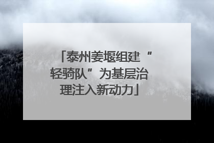 泰州姜堰组建“轻骑队”为基层治理注入新动力