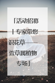 活动招募丨专家带您识花草——萱草属植物专场
