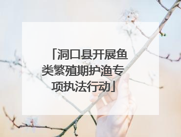 洞口县开展鱼类繁殖期护渔专项执法行动