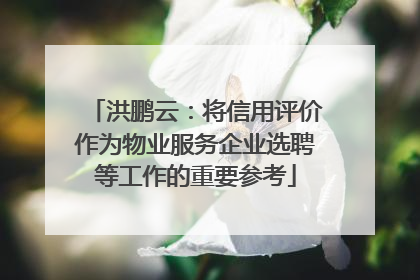 洪鹏云：将信用评价作为物业服务企业选聘等工作的重要参考
