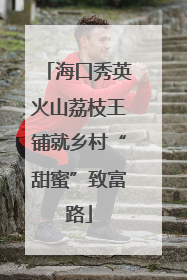 海口秀英火山荔枝王铺就乡村“甜蜜”致富路