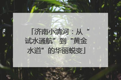 济南小清河：从“试水通航”到“黄金水道”的华丽蜕变