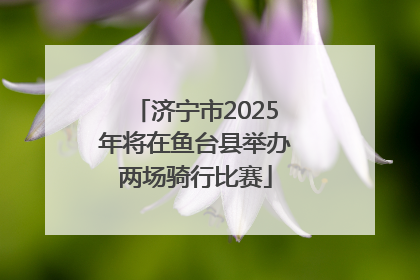 济宁市2025年将在鱼台县举办两场骑行比赛