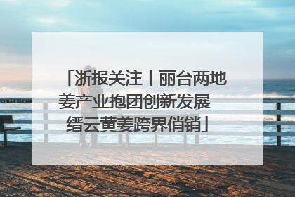 浙报关注丨丽台两地姜产业抱团创新发展 缙云黄姜跨界俏销