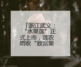浙江武义：“水果莲”正式上市，莲农增收“致富果”注活力