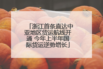 浙江首条直达中亚地区货运航线开通 今年上半年国际货运逆势增长
