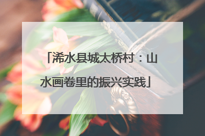 浠水县城太桥村：山水画卷里的振兴实践