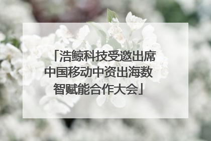 浩鲸科技受邀出席中国移动中资出海数智赋能合作大会