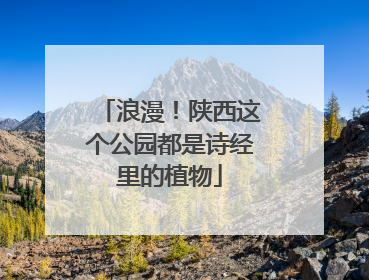 浪漫！陕西这个公园都是诗经里的植物