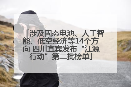 涉及固态电池、人工智能、低空经济等14个方向 四川宜宾发布“江源行动”第二批榜单