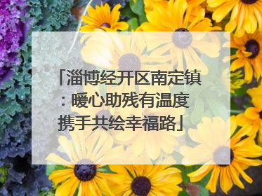 淄博经开区南定镇：暖心助残有温度 携手共绘幸福路