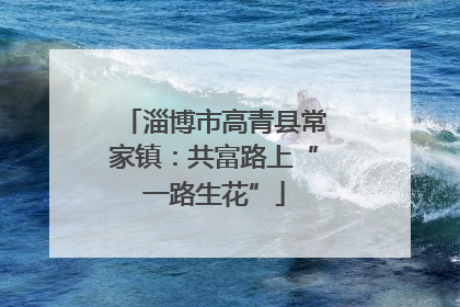 淄博市高青县常家镇：共富路上“一路生花”