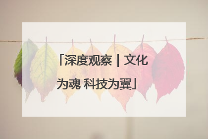 深度观察｜文化为魂 科技为翼