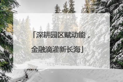 深耕园区赋动能，金融滴灌新长海