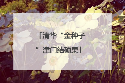 清华“金种子”津门结硕果
