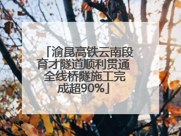 渝昆高铁云南段育才隧道顺利贯通 全线桥隧施工完成超90%
