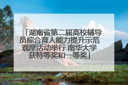 湖南省第二届高校辅导员综合育人能力提升示范观摩活动举行 南华大学获特等奖和一等奖