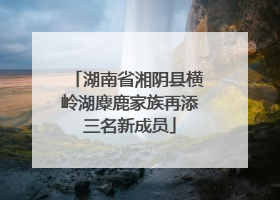 湖南省湘阴县横岭湖麋鹿家族再添三名新成员