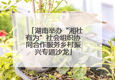湖南举办“湘社有为”社会组织协同合作服务乡村振兴专题沙龙