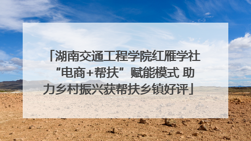 湖南交通工程学院红雁学社“电商+帮扶”赋能模式 助力乡村振兴获帮扶乡镇好评