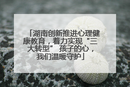 湖南创新推进心理健康教育，着力实现“三大转型” 孩子的心，我们温暖守护