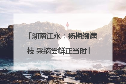 湖南江永：杨梅缀满枝 采摘尝鲜正当时