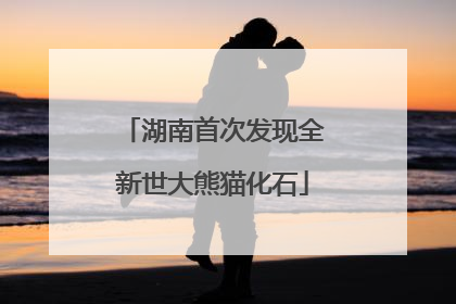 湖南首次发现全新世大熊猫化石
