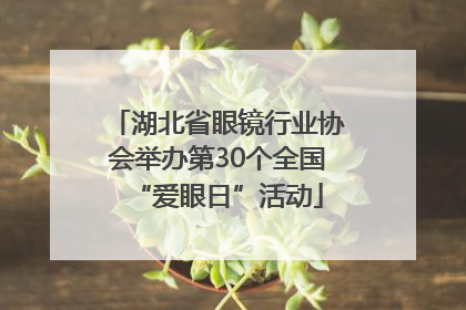 湖北省眼镜行业协会举办第30个全国“爱眼日”活动