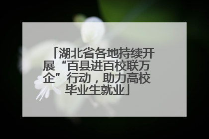 湖北省各地持续开展“百县进百校联万企”行动，助力高校毕业生就业