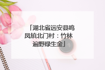 湖北省远安县鸣凤镇北门村：竹林遍野绿生金