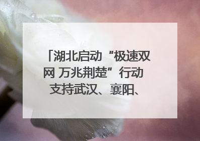 湖北启动“极速双网 万兆荆楚”行动 支持武汉、襄阳、宜昌率先建成“万兆先锋城市”