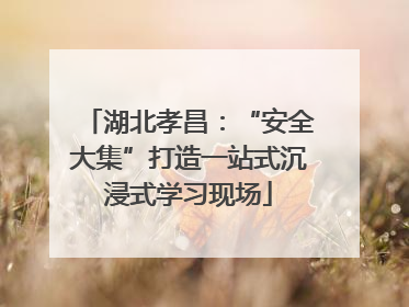 湖北孝昌：“安全大集”打造一站式沉浸式学习现场