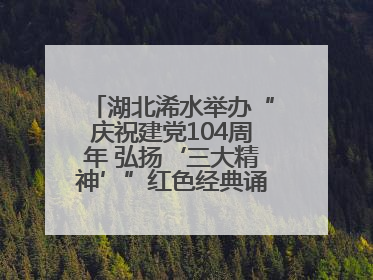 湖北浠水举办“庆祝建党104周年 弘扬‘三大精神’”红色经典诵读活动