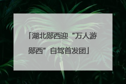 湖北郧西迎“万人游郧西”自驾首发团
