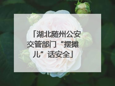 湖北随州公安交管部门“摆摊儿”话安全
