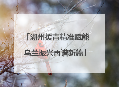 湖州援青精准赋能 乌兰振兴再谱新篇