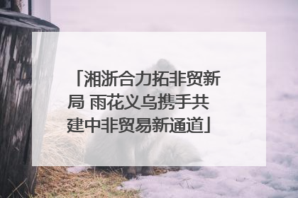 湘浙合力拓非贸新局 雨花义乌携手共建中非贸易新通道