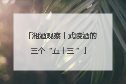 湘酒观察丨武陵酒的三个“五十三 ”