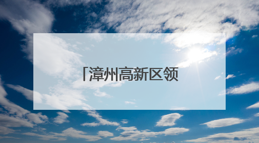 漳州高新区领导到九湖镇调研基层党建工作