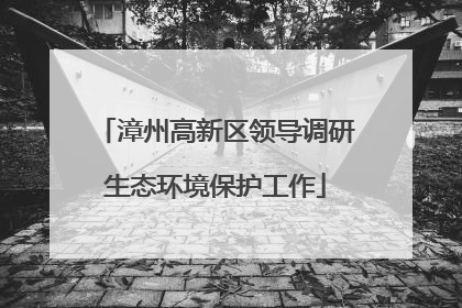 漳州高新区领导调研生态环境保护工作