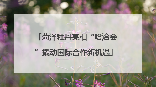 菏泽牡丹亮相“哈洽会”撬动国际合作新机遇