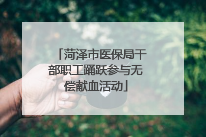 菏泽市医保局干部职工踊跃参与无偿献血活动