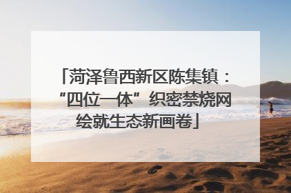 菏泽鲁西新区陈集镇：“四位一体”织密禁烧网 绘就生态新画卷