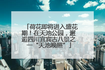 荷花即将进入盛花期！在天池公园，邂逅四川宜宾古八景之一“天池晚照”