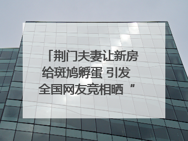 荆门夫妻让新房给斑鸠孵蛋 引发全国网友竞相晒“人鸟共处”图