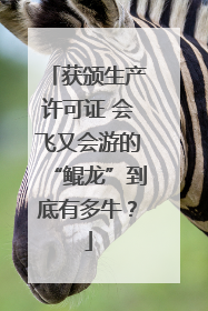 获颁生产许可证 会飞又会游的“鲲龙”到底有多牛？