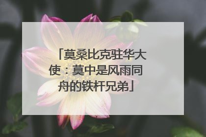 莫桑比克驻华大使：莫中是风雨同舟的铁杆兄弟
