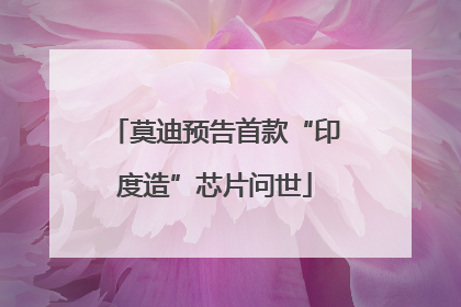 莫迪预告首款“印度造”芯片问世